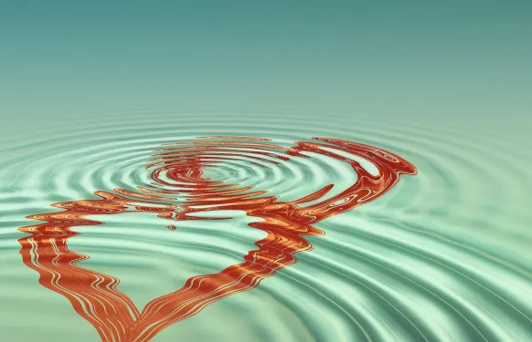 알이엑스 카지노 지원